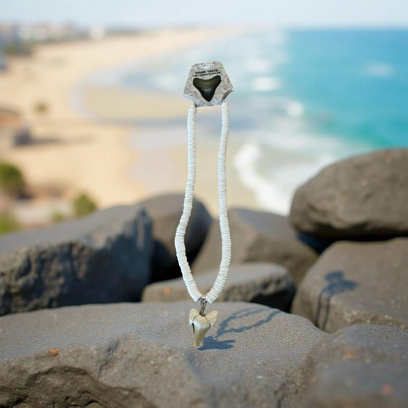 Shark Tooth Necklace - Picture 2 of 2